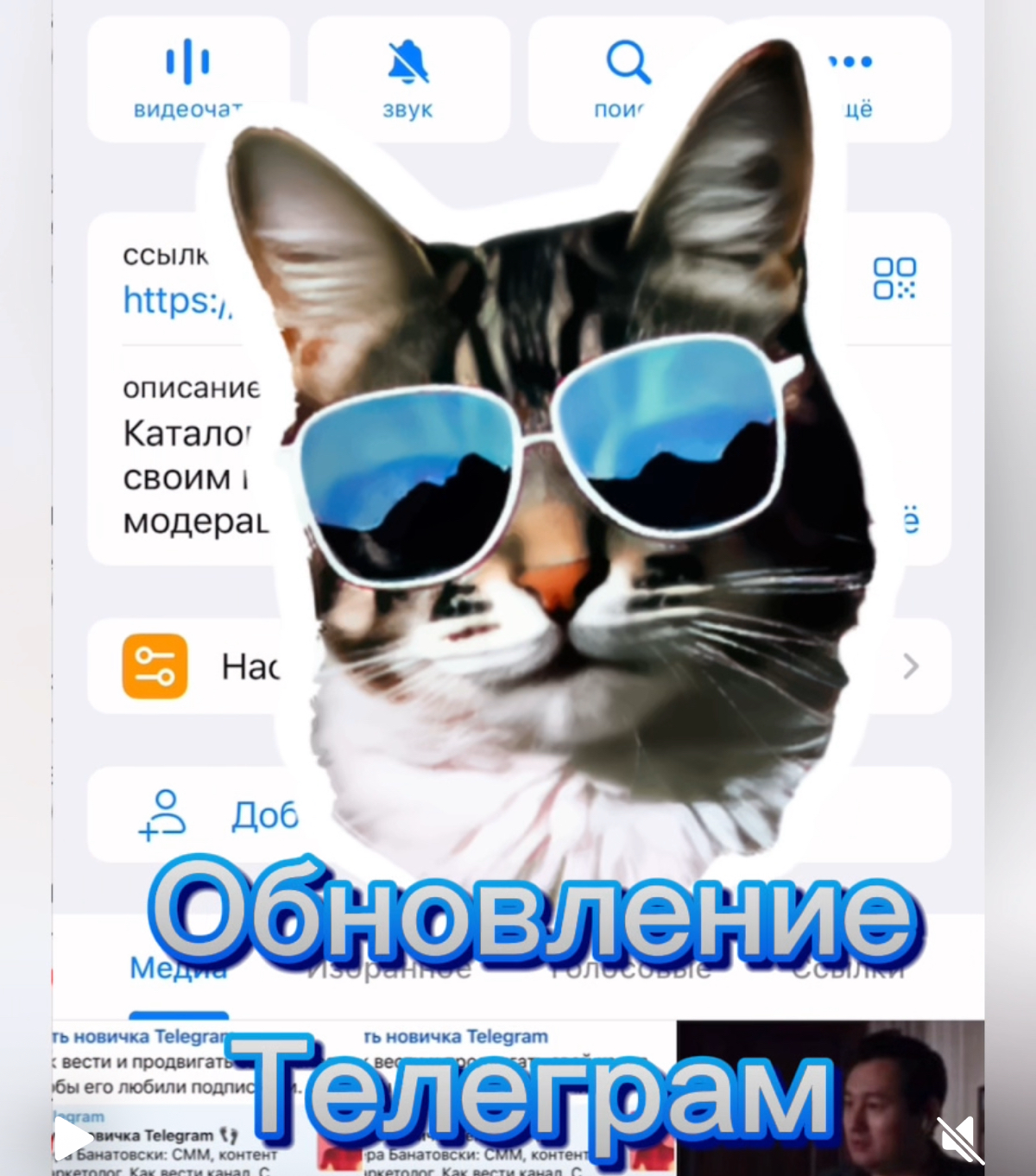 Предложка - сообщения каналам без перехода в личку и др | Сетка — социальная сеть от hh.ru