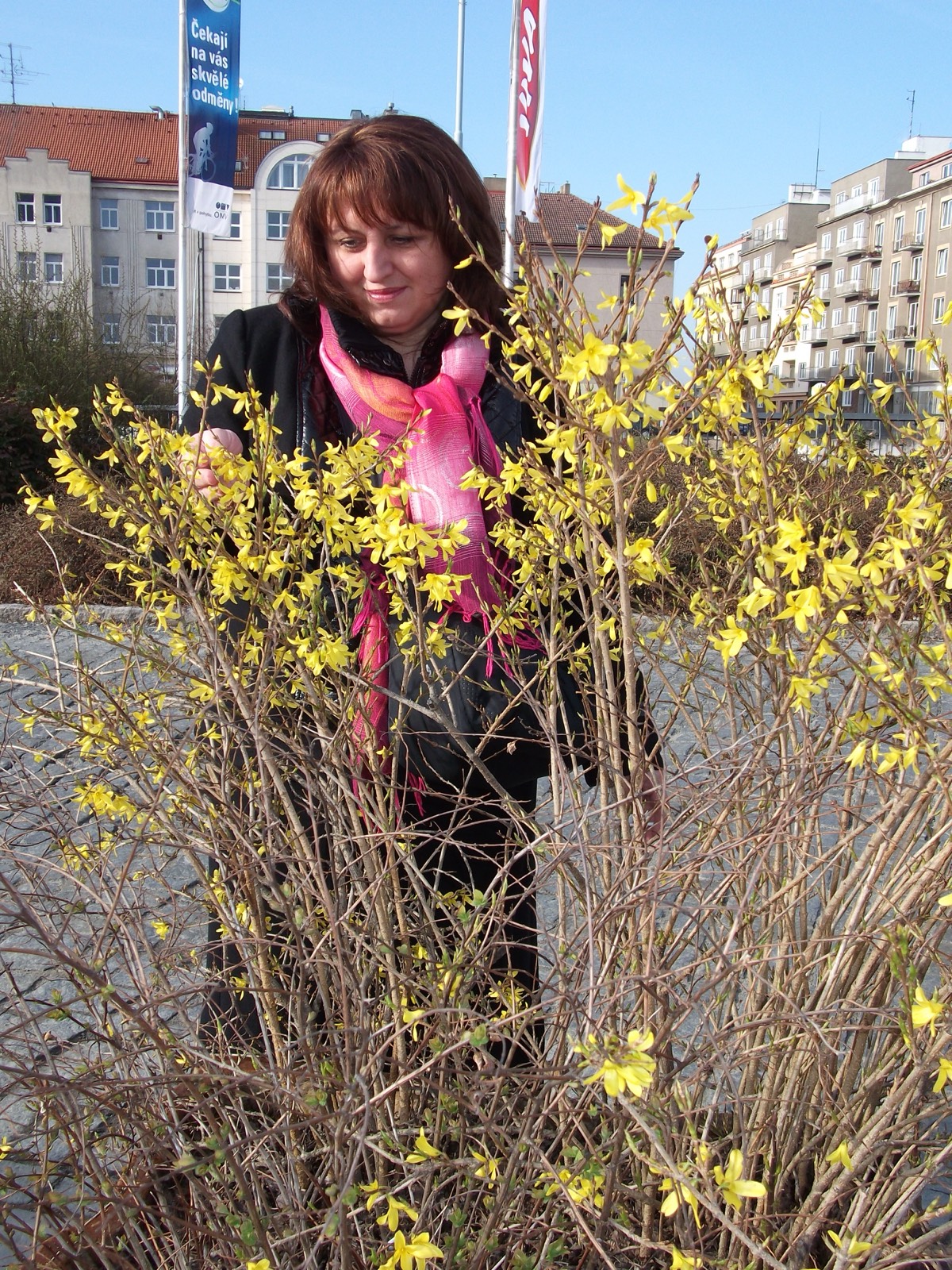 Виктория Синскене | Сетка — социальная сеть от hh.ru