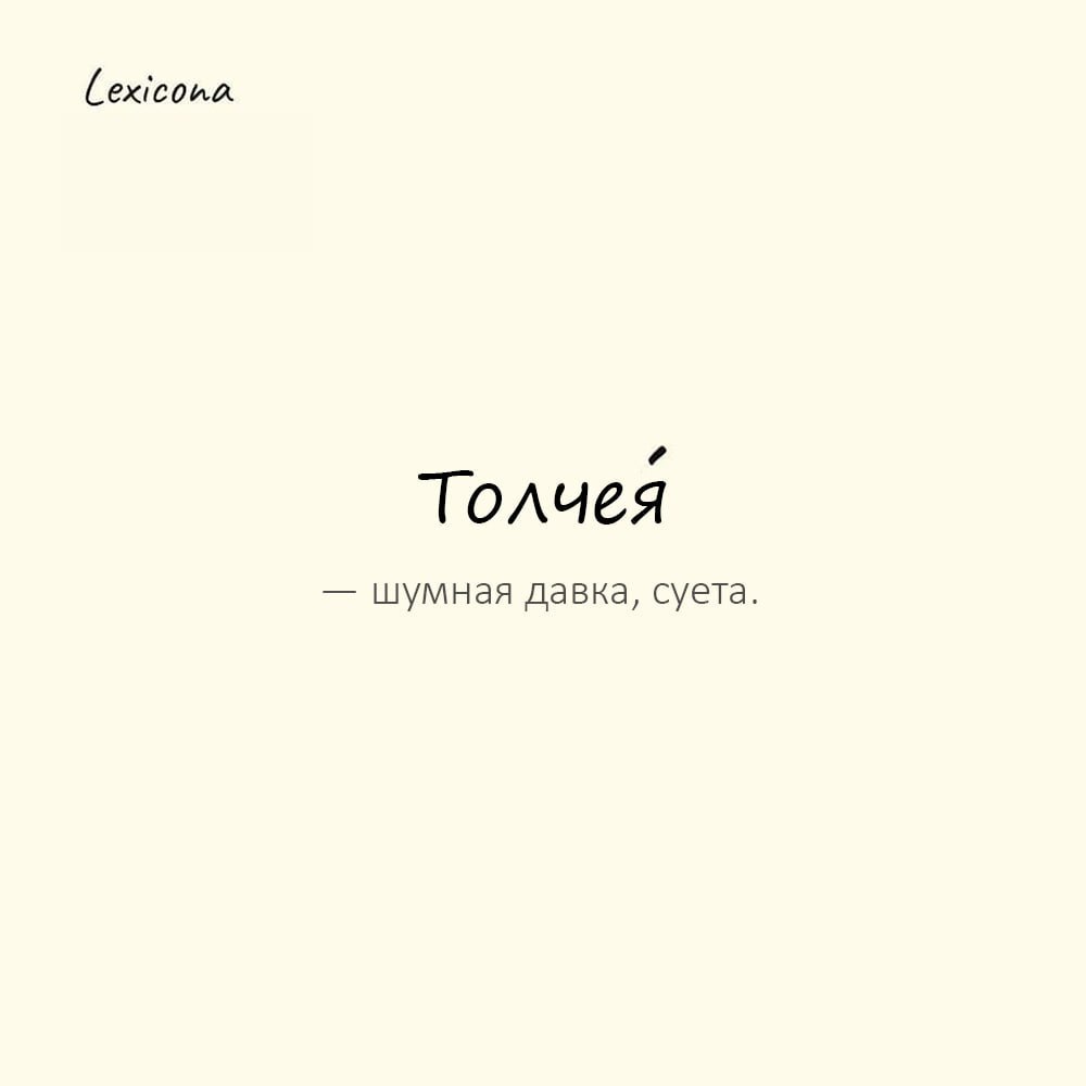 Толчея — шумная давка, суета (устаревшее значение)
Пример употребления:
На базаре поднялась такая толчея́, что не продохнуть. | Сетка — социальная сеть от hh.ru