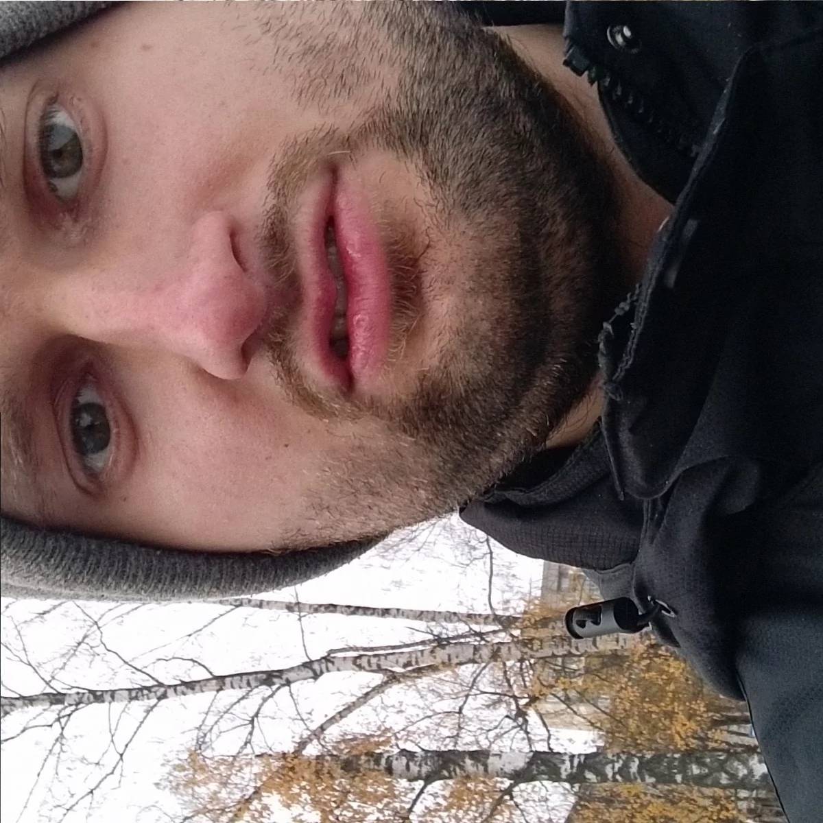 Тестеровщик Виссарионович