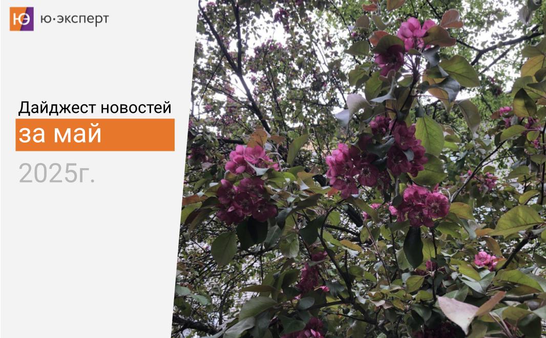 📆 Лето стремительно ворвалось в нашу жизнь, а нам пора подвести итоги мая | Сетка — социальная сеть от hh.ru