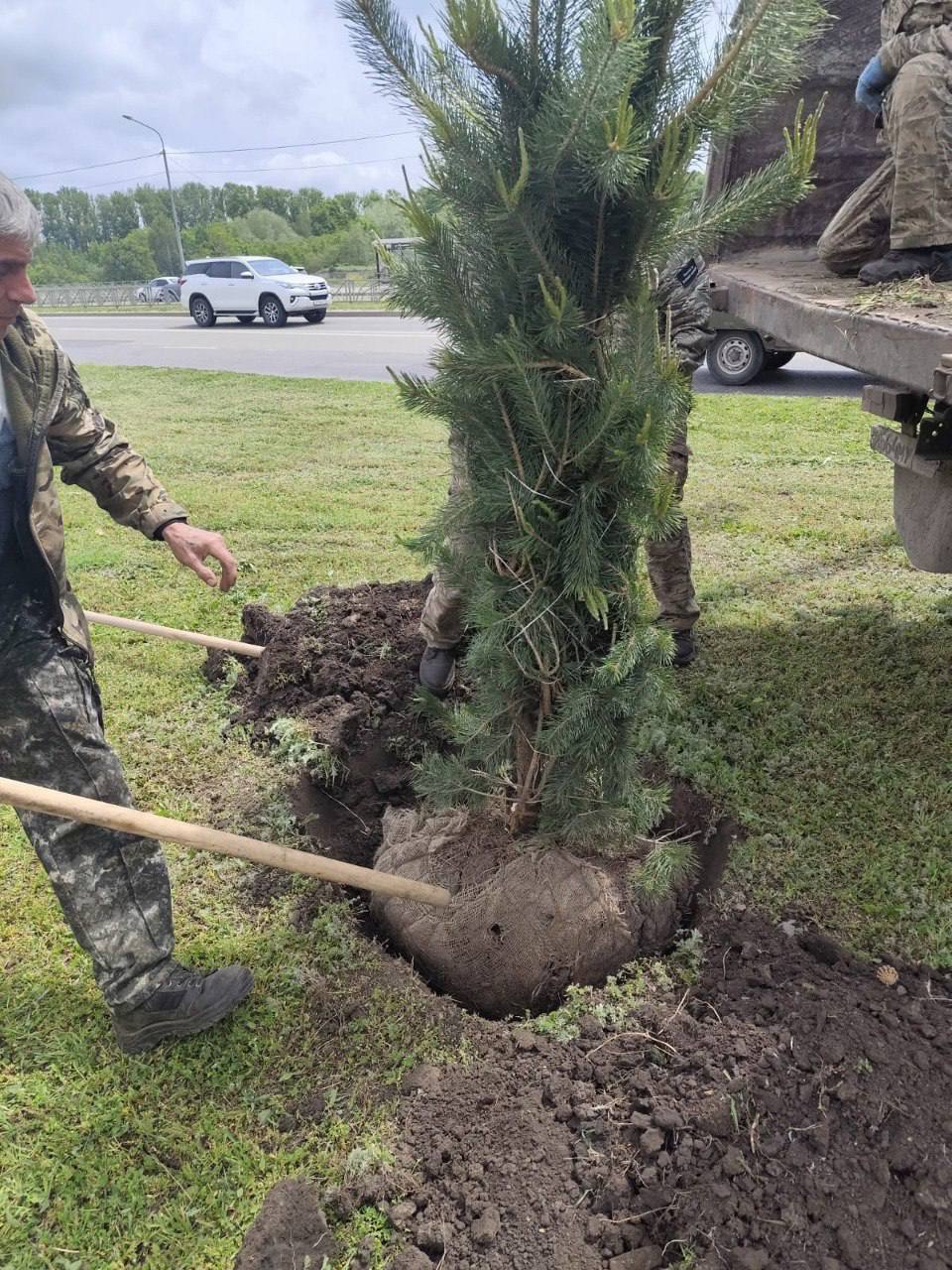🌳 В Ставрополе высадили новые деревья
В рамках плана озеленения на проспекте Кулакова посадили 63 клёна и 10 елей — по обеим сторонам от улицы Ленина и у пересечения с Коломийцева | Сетка — социальная сеть от hh.ru