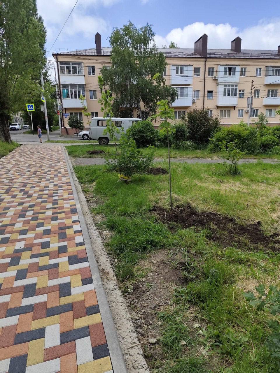 🌳 В Ставрополе высадили новые деревья
В рамках плана озеленения на проспекте Кулакова посадили 63 клёна и 10 елей — по обеим сторонам от улицы Ленина и у пересечения с Коломийцева | Сетка — социальная сеть от hh.ru