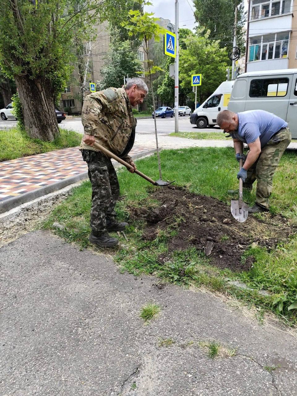 🌳 В Ставрополе высадили новые деревья
В рамках плана озеленения на проспекте Кулакова посадили 63 клёна и 10 елей — по обеим сторонам от улицы Ленина и у пересечения с Коломийцева | Сетка — социальная сеть от hh.ru