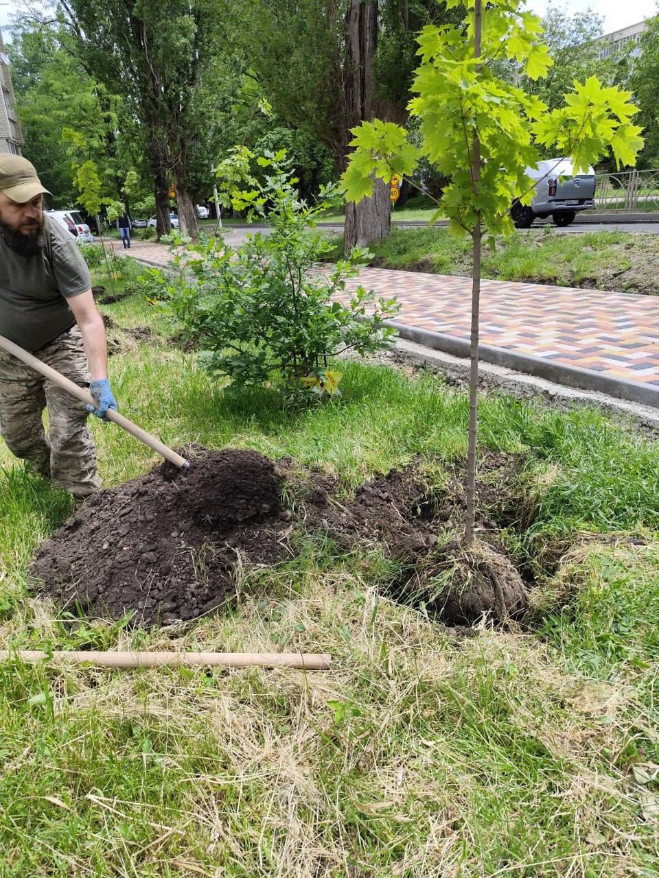 🌳 В Ставрополе высадили новые деревья
В рамках плана озеленения на проспекте Кулакова посадили 63 клёна и 10 елей — по обеим сторонам от улицы Ленина и у пересечения с Коломийцева | Сетка — социальная сеть от hh.ru