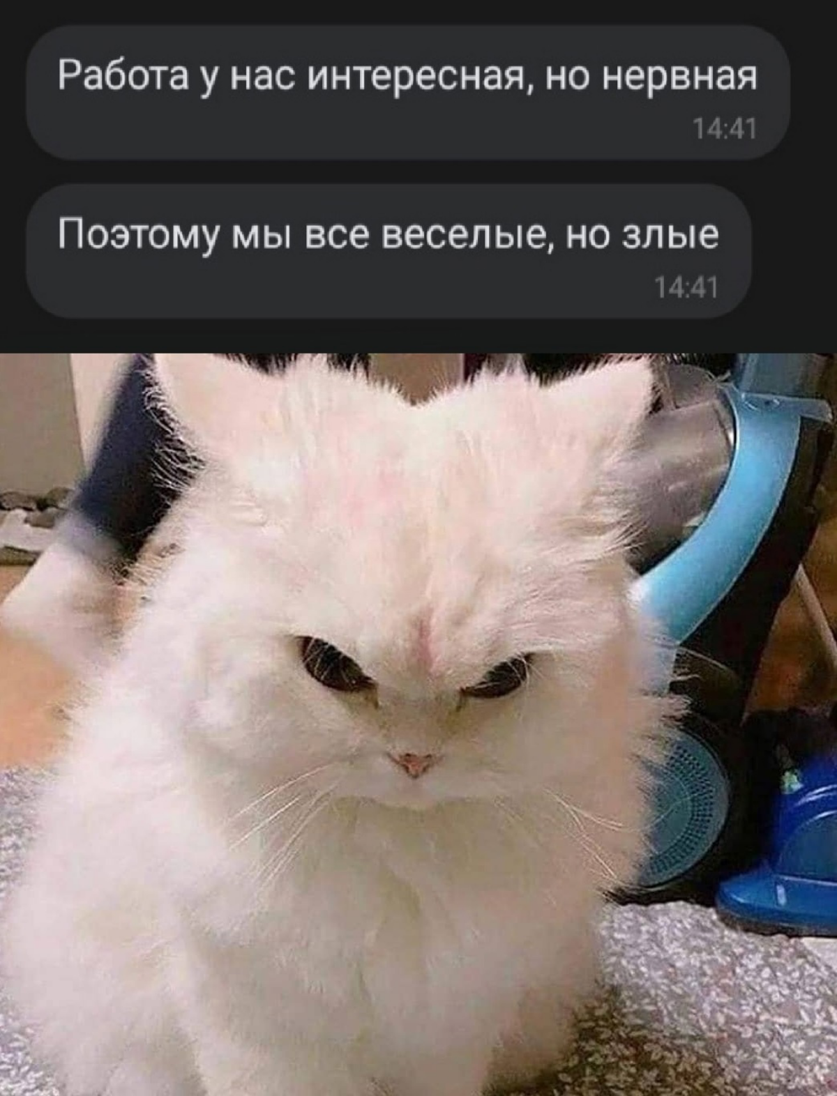 Начну ленту мемасов, смиритесь | Сетка — социальная сеть от hh.ru