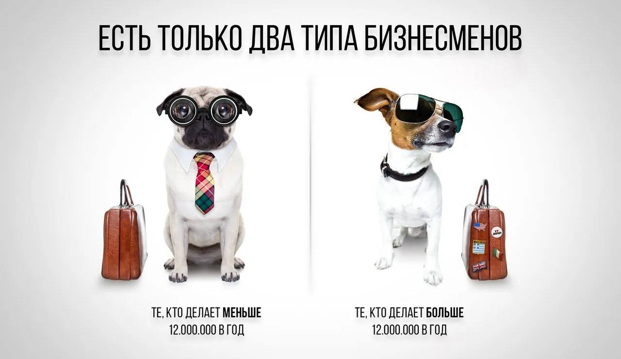 Согласны?) | Сетка — социальная сеть от hh.ru