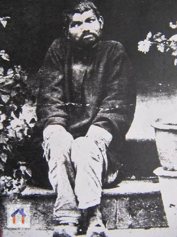 Дина Саничар — реальный Маугли, воспитанный волками и найденный в 1872 г. в джунглях Индии | Сетка — социальная сеть от hh.ru