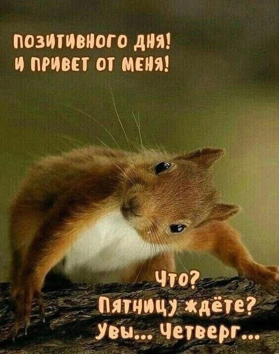 Доброе утро, добрые люди🌻 | Сетка — социальная сеть от hh.ru
