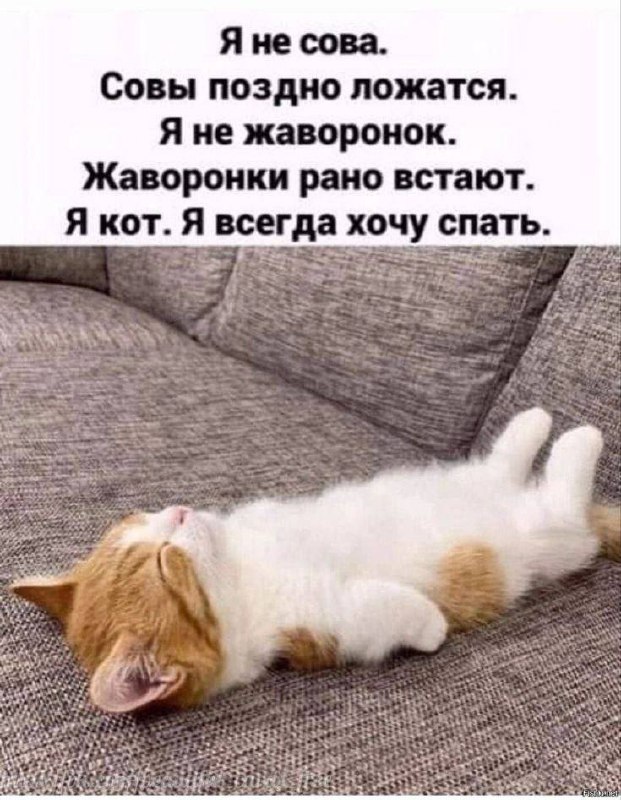 Доброе утро, ставропольцы! | Сетка — социальная сеть от hh.ru