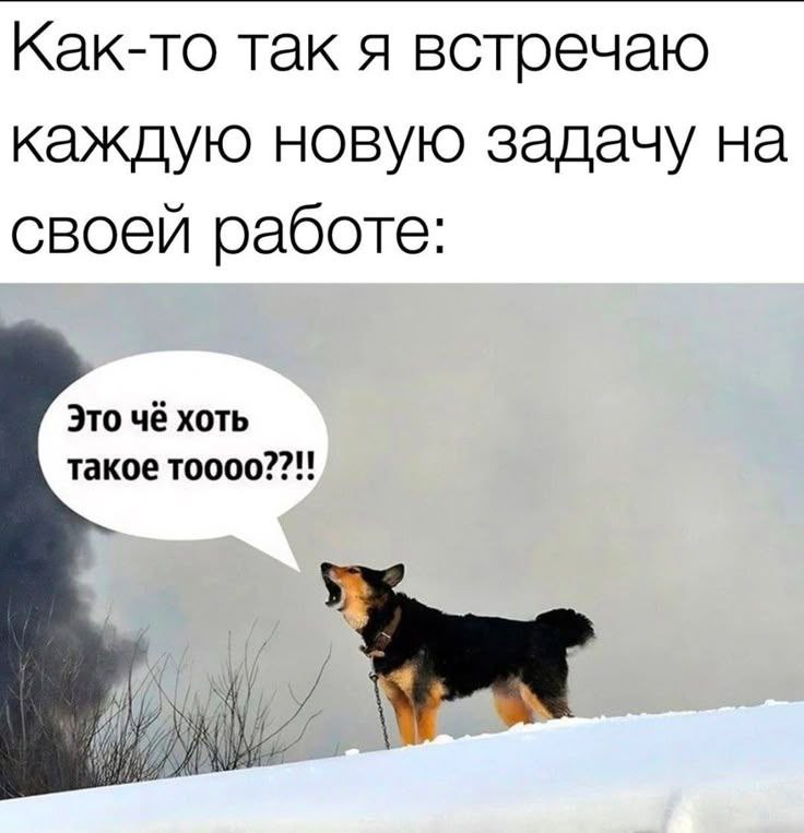 Труженики! 🐝
Сегодня для вас новые вакансии! | Сетка — социальная сеть от hh.ru