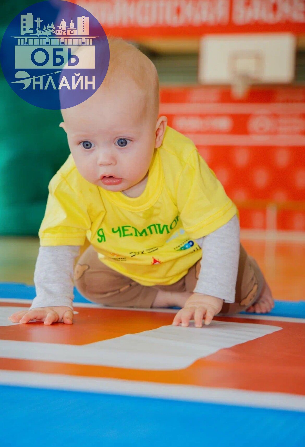 ↗ Чемпионат для малышей от 7 месяцев до 3 лет!
👶 Кто сказал, что первые спортивные победы — только в старших классах?
21 июня в городе Обь пройдёт самое милое спортивное событие лета — праздник для са... | Сетка — социальная сеть от hh.ru