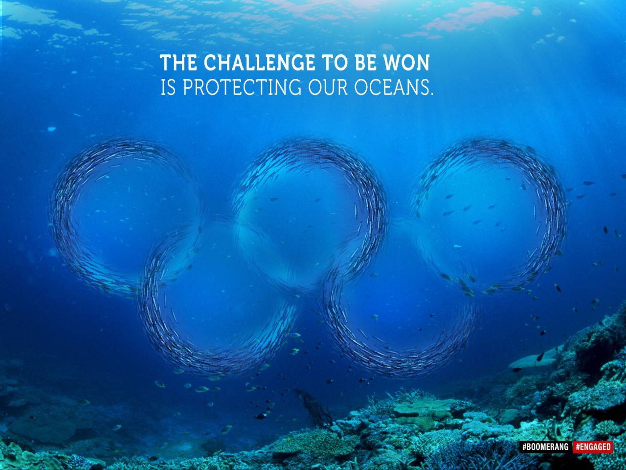 🌍Сегодня во Всемирный день защиты окружающей среды хочется поделиться яркой социальной рекламой от марокканского агентства Boomerang Communication | Сетка — социальная сеть от hh.ru