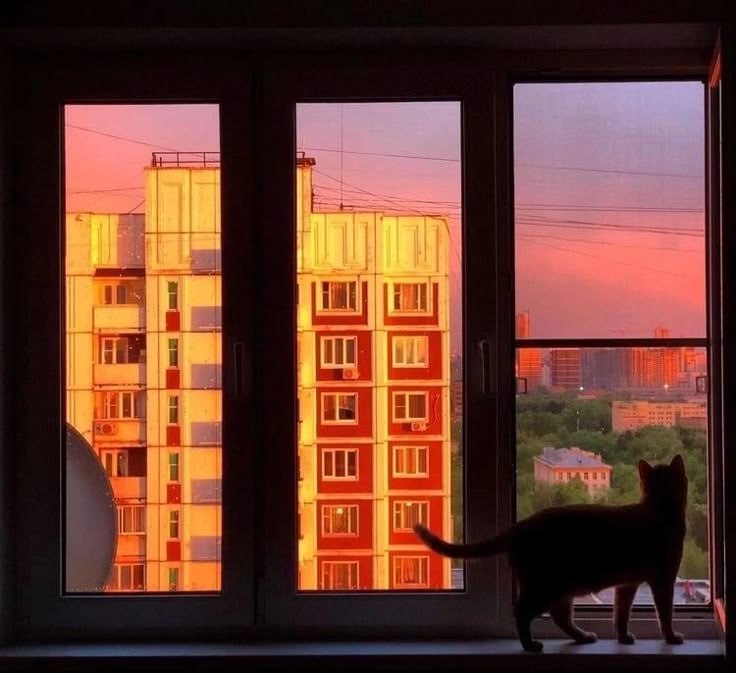 🎯Цели и задачи программы суперпользователей
Первый шаг — определить, какие выгоды принесёт организации создание программы | Сетка — социальная сеть от hh.ru