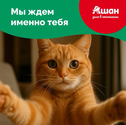 🎯 Включайся в ИТ-ритейл будущего! | Сетка — социальная сеть от hh.ru