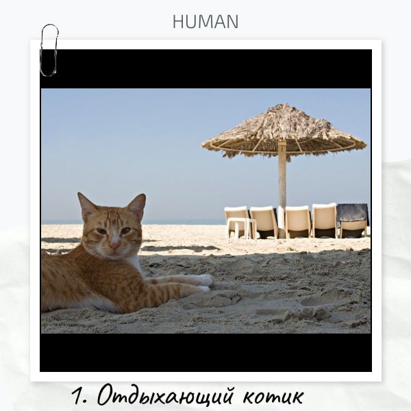 😮😮😮Коллеги, с пятницей!😊
⤵️Подводим итоги интерактива «Если бы ваш самый странный кандидат был фильмом или фразой из фильма, как бы он назывался?»
❤️По реакциям победила Светлана с харизматичными бров... | Сетка — социальная сеть от hh.ru