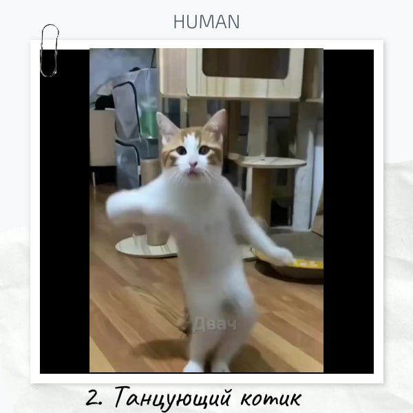 😮😮😮Коллеги, с пятницей!😊
⤵️Подводим итоги интерактива «Если бы ваш самый странный кандидат был фильмом или фразой из фильма, как бы он назывался?»
❤️По реакциям победила Светлана с харизматичными бров... | Сетка — социальная сеть от hh.ru