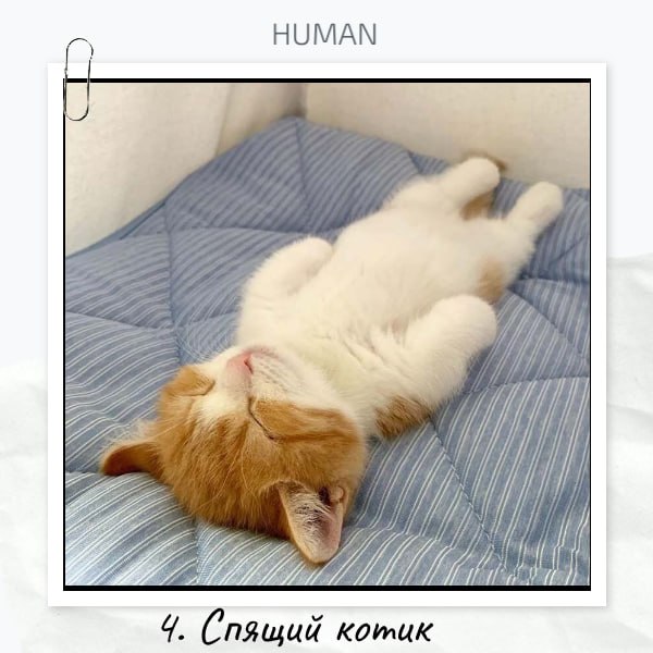 😮😮😮Коллеги, с пятницей!😊
⤵️Подводим итоги интерактива «Если бы ваш самый странный кандидат был фильмом или фразой из фильма, как бы он назывался?»
❤️По реакциям победила Светлана с харизматичными бров... | Сетка — социальная сеть от hh.ru