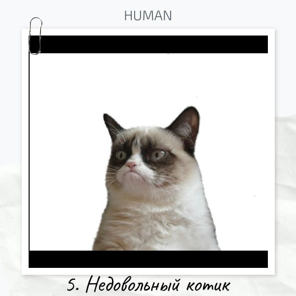 😮😮😮Коллеги, с пятницей!😊
⤵️Подводим итоги интерактива «Если бы ваш самый странный кандидат был фильмом или фразой из фильма, как бы он назывался?»
❤️По реакциям победила Светлана с харизматичными бров... | Сетка — социальная сеть от hh.ru