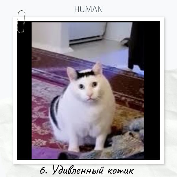 😮😮😮Коллеги, с пятницей!😊
⤵️Подводим итоги интерактива «Если бы ваш самый странный кандидат был фильмом или фразой из фильма, как бы он назывался?»
❤️По реакциям победила Светлана с харизматичными бров... | Сетка — социальная сеть от hh.ru