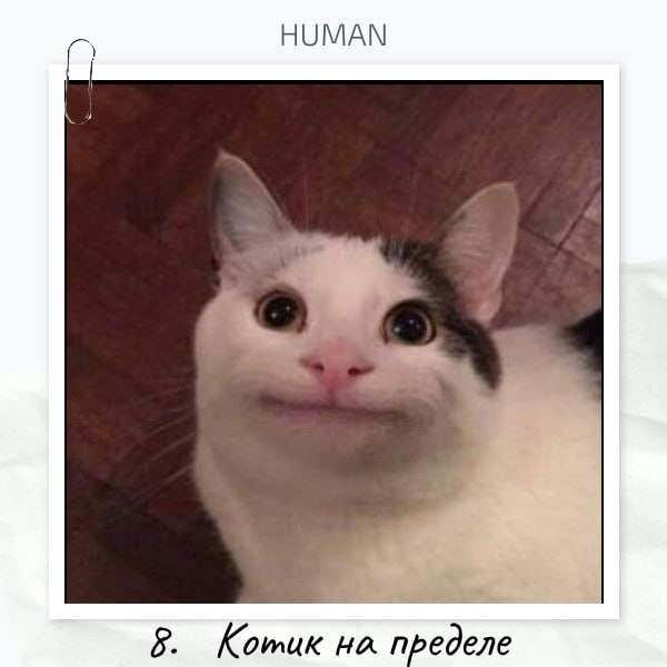 😮😮😮Коллеги, с пятницей!😊
⤵️Подводим итоги интерактива «Если бы ваш самый странный кандидат был фильмом или фразой из фильма, как бы он назывался?»
❤️По реакциям победила Светлана с харизматичными бров... | Сетка — социальная сеть от hh.ru