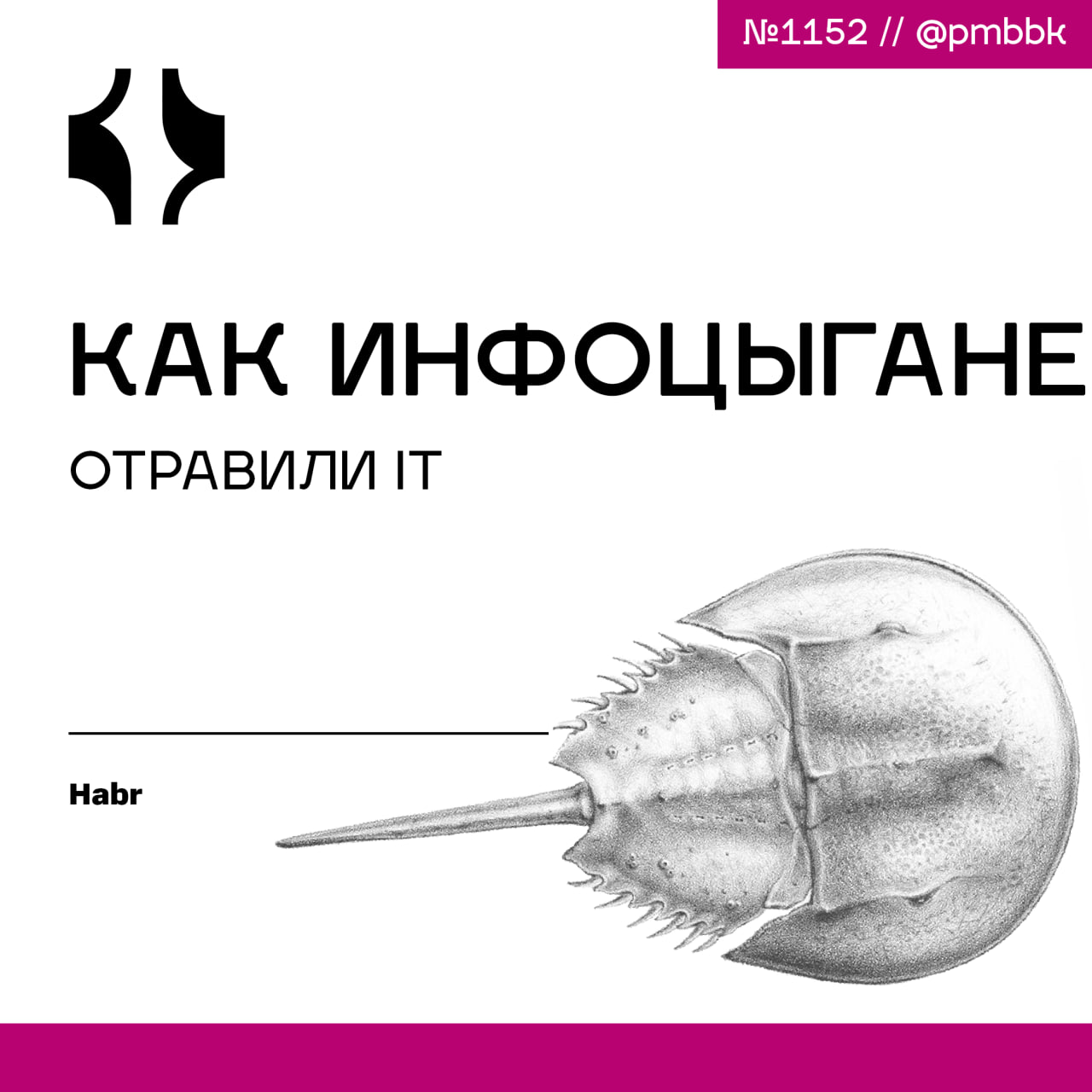 🤮 Как инфоцыгане отравили ITИнфоцыгане захватывают не только YouTube и Instagram - их влияние всё глубже проникает в сферу IT | Сетка — социальная сеть от hh.ru