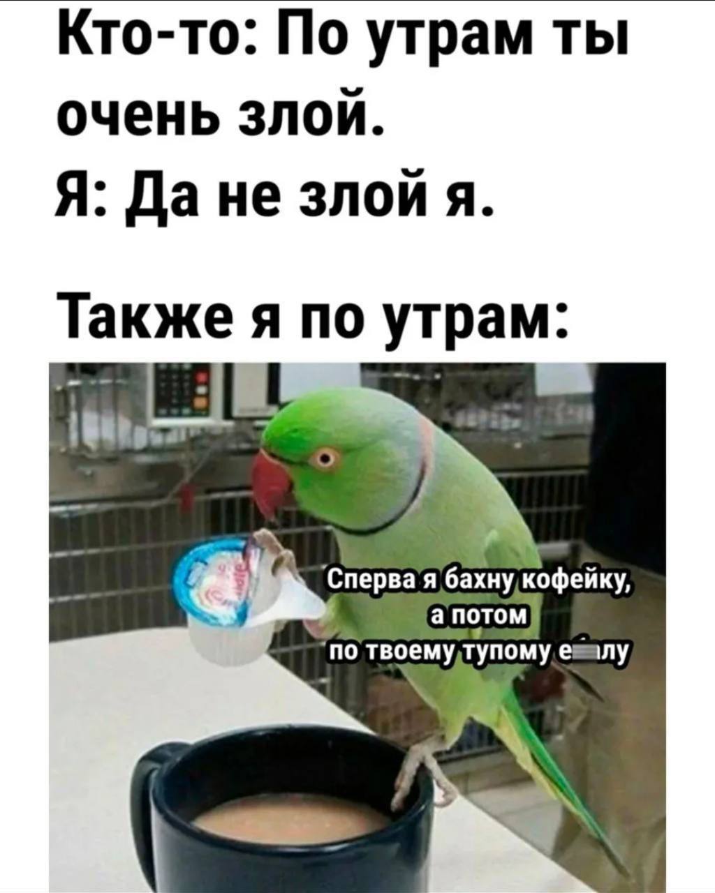 Ну че, чисто мы?
🔥 - бро, в самое сердечко!
💯 - «удоли»! Зачем ты выложил мое фото!
❤️ - я лапочка и никого не обижаю
#пятничное
@badtechproject | Сетка — социальная сеть от hh.ru