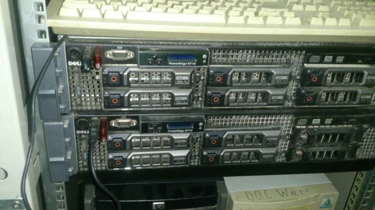 Степан Тарасов | Сетка — социальная сеть от hh.ru