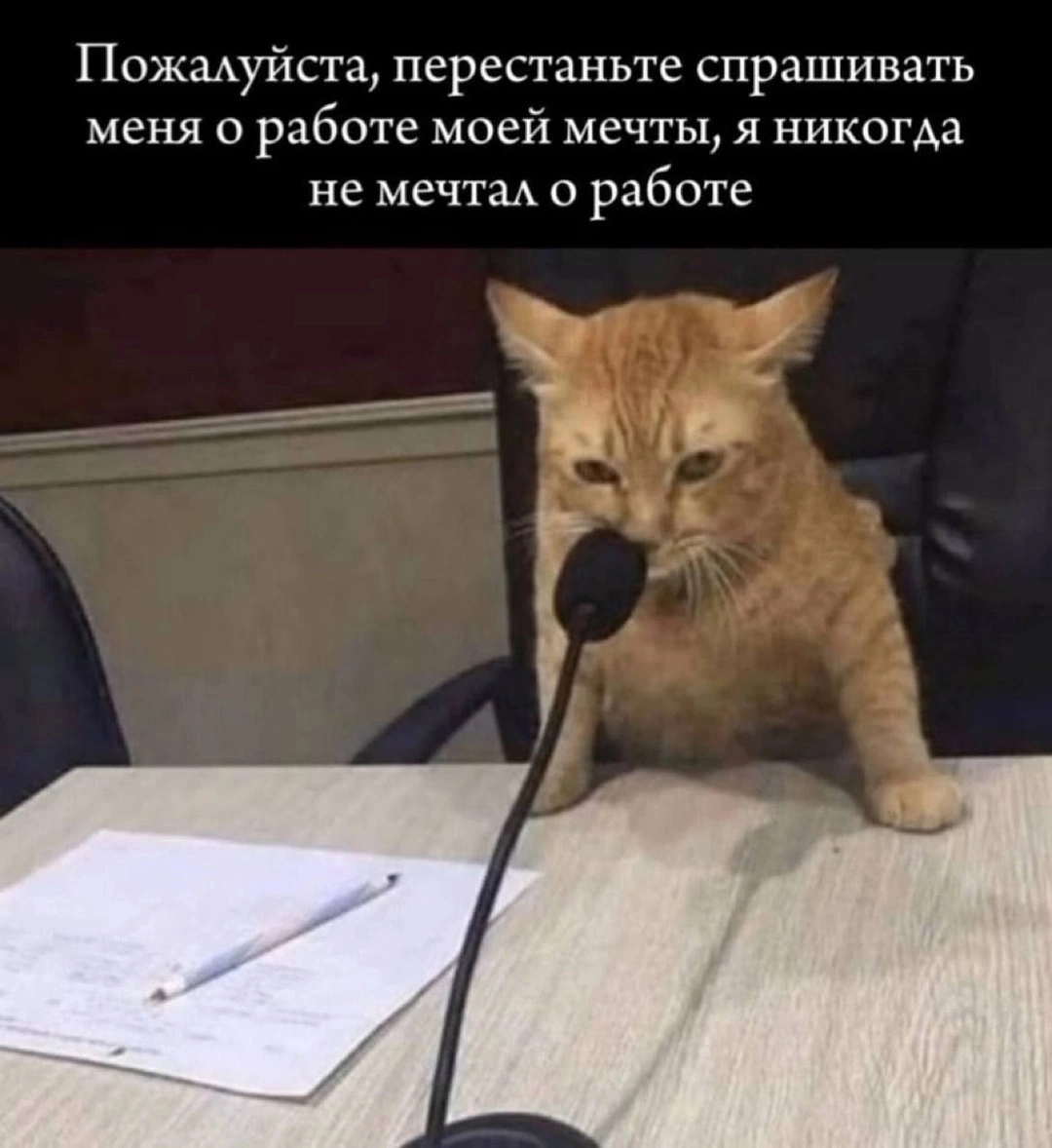 А вы о чем мечтали?😁 | Сетка — социальная сеть от hh.ru