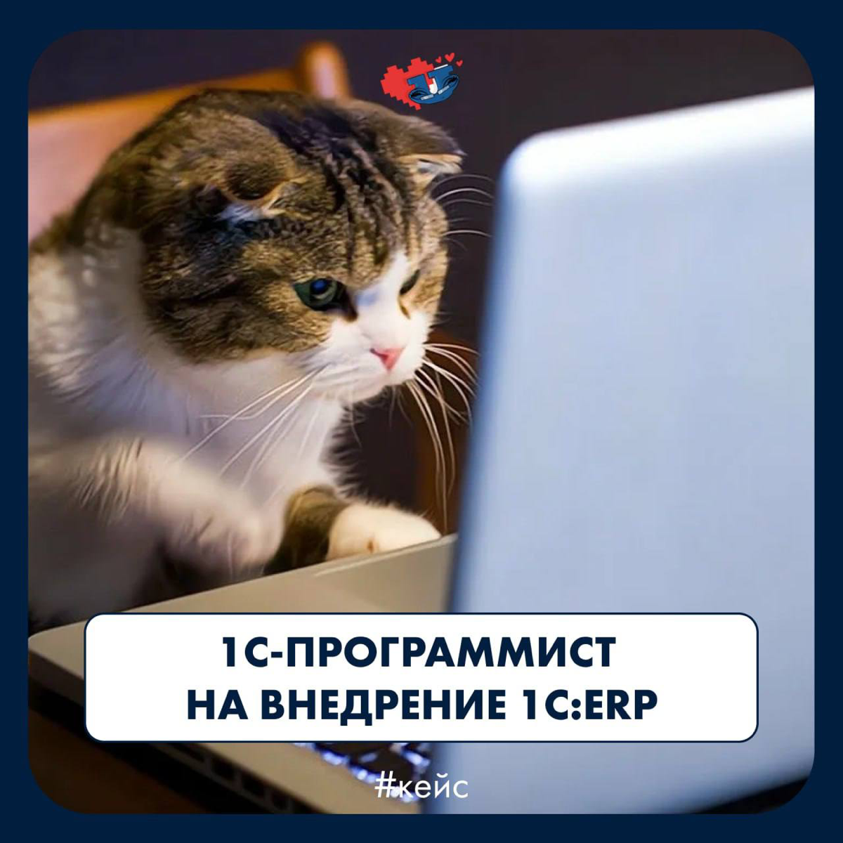 1С-программист на внедрение ERP | Сетка — социальная сеть от hh.ru