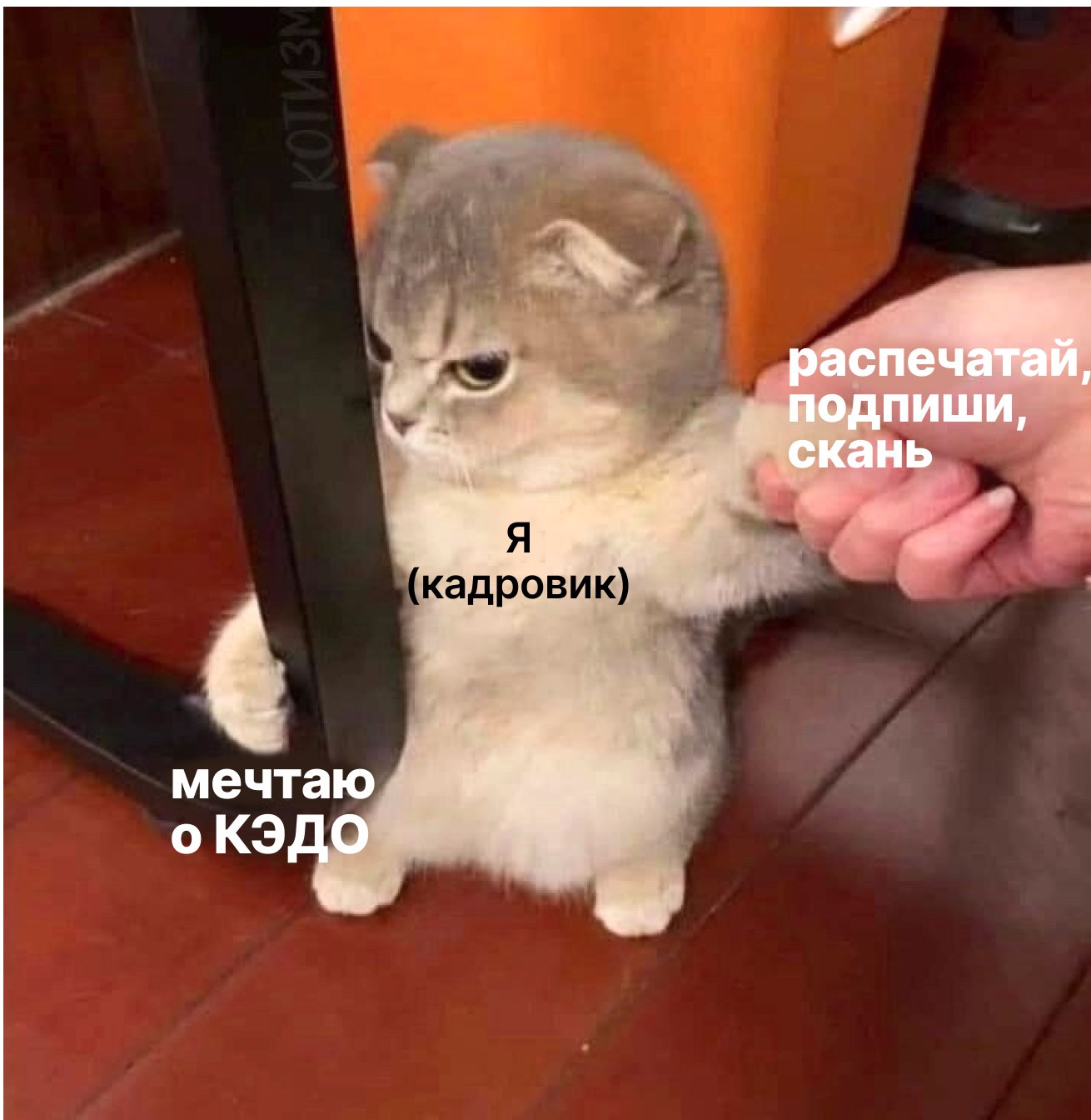 🤫 КЭДО и кадровая система — это не об одном и том же?
Например, ваша учетная система 1С отвечает за хранение базы данных, а КЭДО управляет логикой кадровых процессов (документооборота), обеспечивает ю... | Сетка — социальная сеть от hh.ru