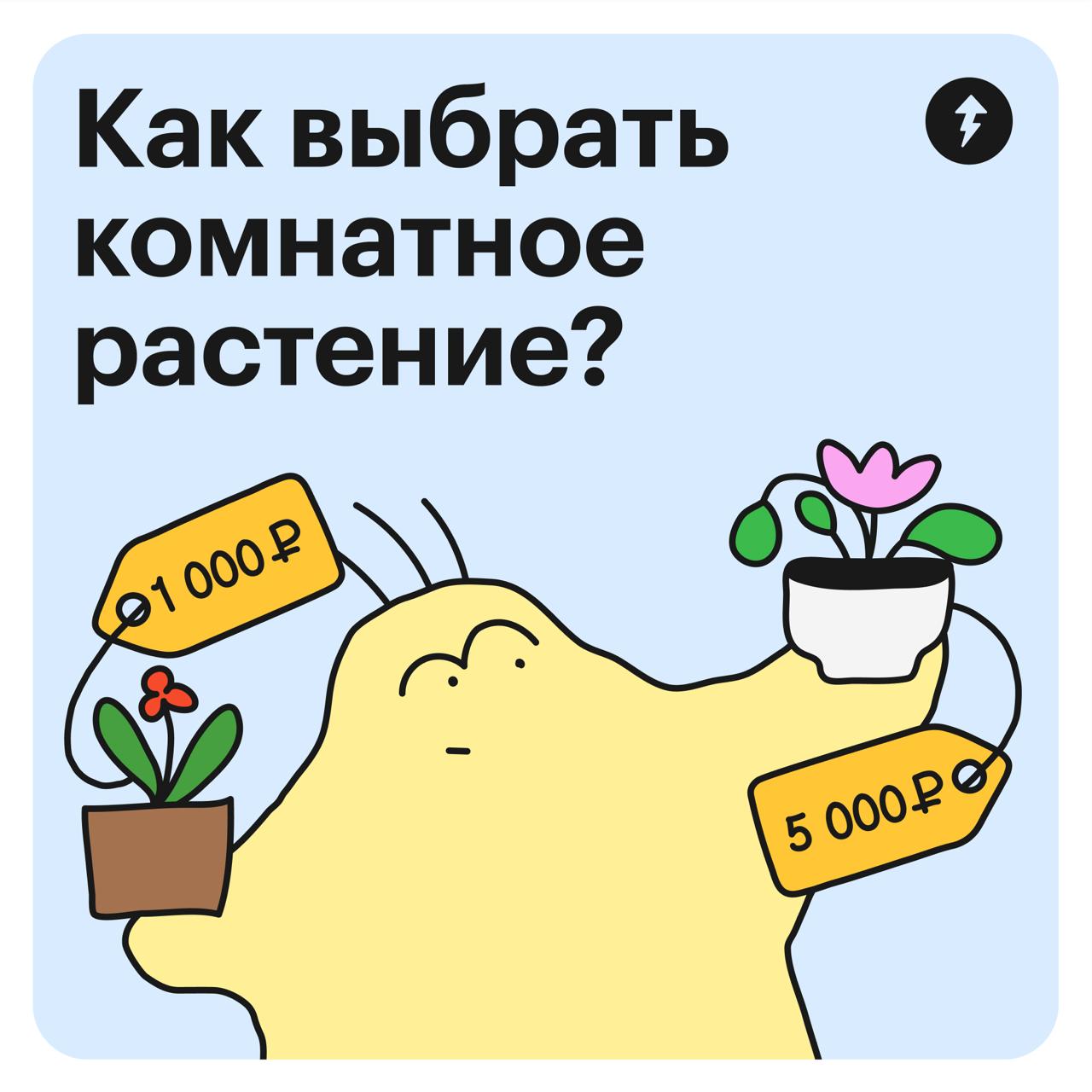 Миллениалы в рандомный момент:
«Надо купить комнатное растение!»
Представители других поколений, не переключайтесь. Мы сделали тест для всех, кто хочет выбрать домашние цветы, но не знает как | Сетка — социальная сеть от hh.ru