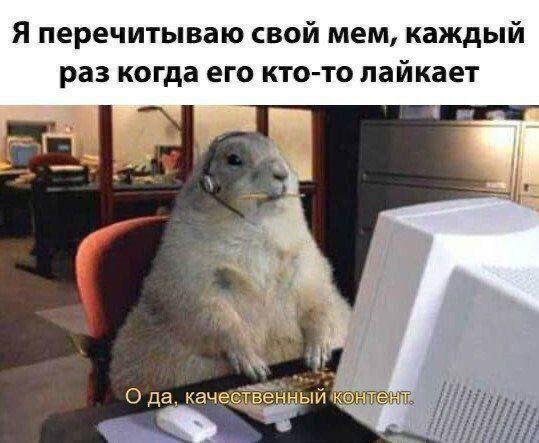 Бросай работу и давай хихикать с мемов 🦖
Напомню, что в комменты можно скинуть свои 🧡
Хороших выходных вам)
#мемы | Сетка — социальная сеть от hh.ru