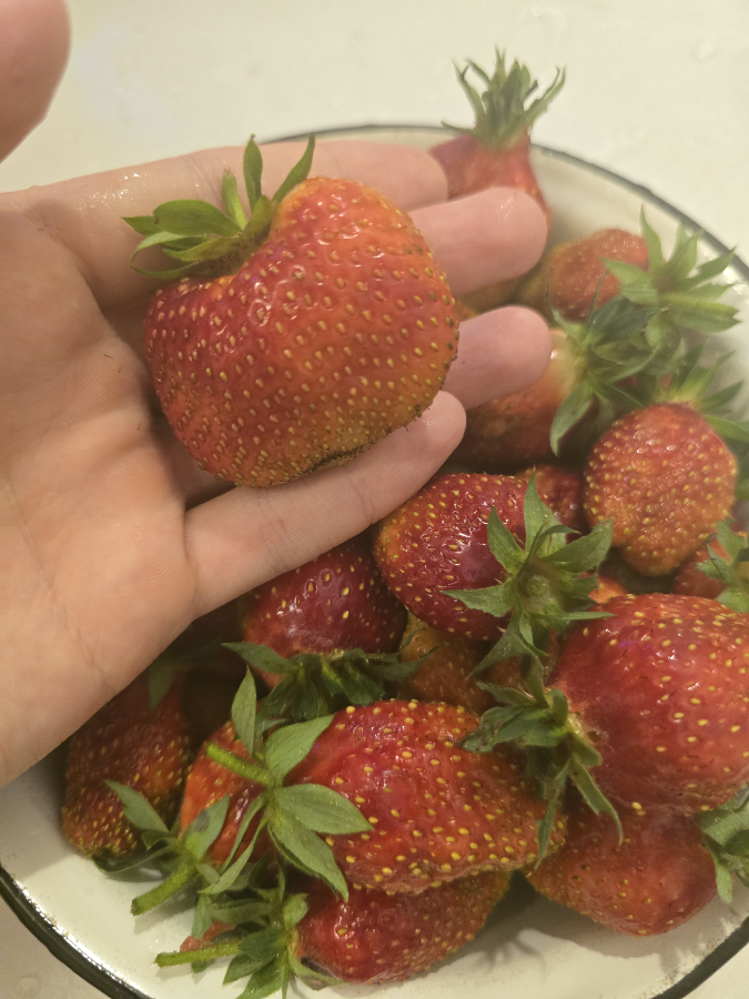 Вот что значит хороший полив | Сетка — социальная сеть от hh.ru