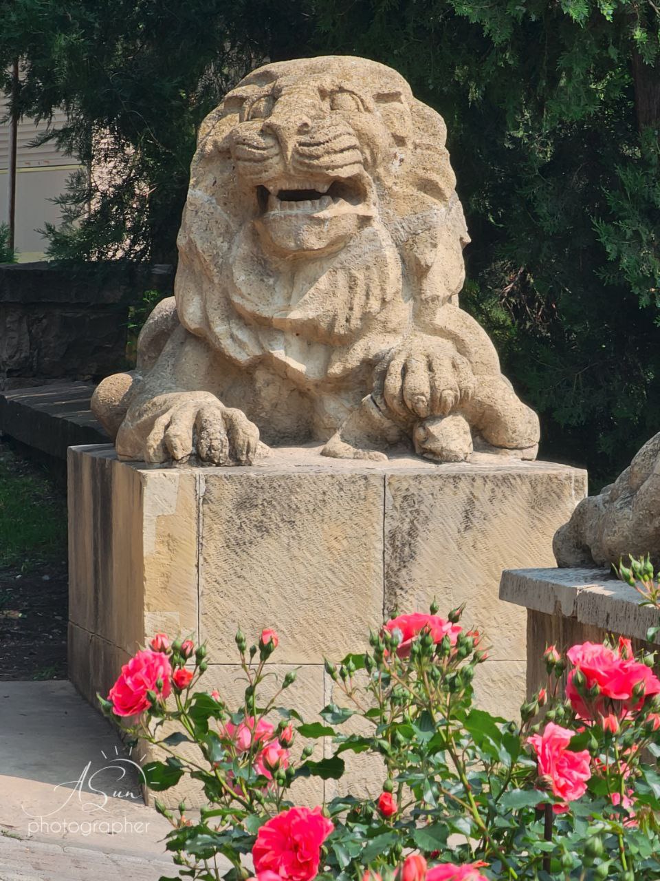 Львы возле ессентукской грязелечебницы
📸 lifesunlife | Сетка — социальная сеть от hh.ru
