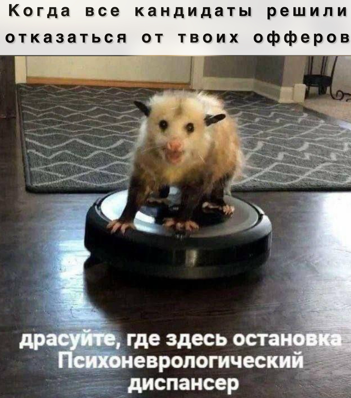 Недостаточно просто работать… | Сетка — социальная сеть от hh.ru