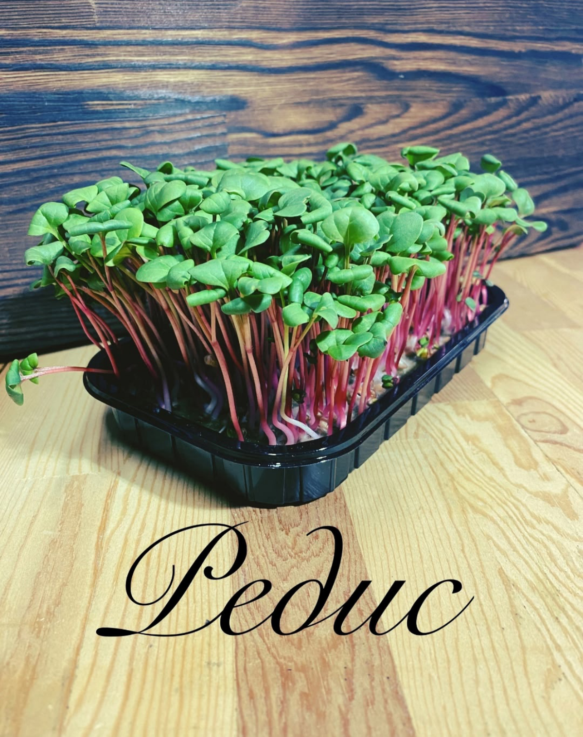 MicroGreens from LadyMari 🌺 – ВПУСТИТЕ СВЕЖЕСТЬ И ПОЛЬЗУ В | Сетка — социальная сеть от hh.ru