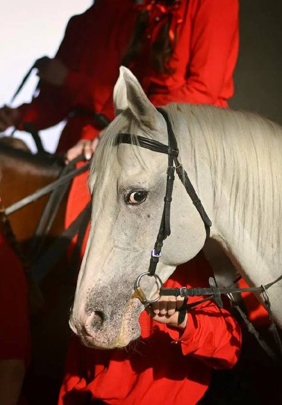 🐎Фестиваль лошадей в Измайлово8 июня 12:00-19:00
В программе:
▪️13 лучших национальных пород лошадей со всей страны
▪️Театрализованные костюмированные шоу
▪️Гигантские пазлы, мягкая дженга, игры на ко... | Сетка — социальная сеть от hh.ru