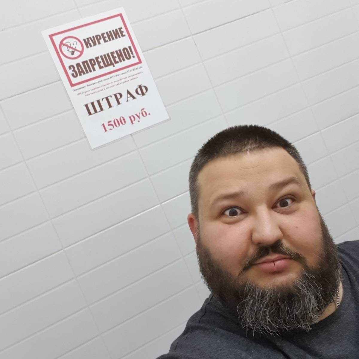 Dmitry St | Сетка — социальная сеть от hh.ru