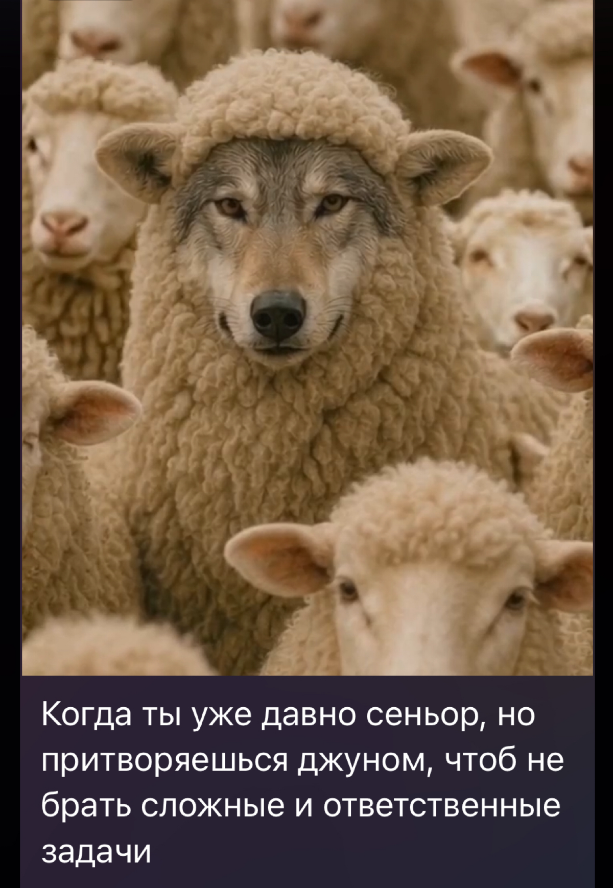 0% осуждения | Сетка — социальная сеть от hh.ru