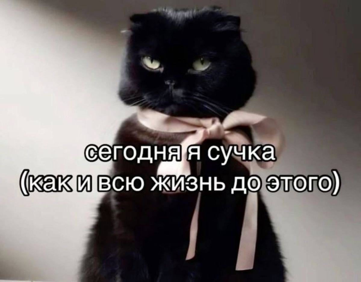 Аутентичность какова она есть
#мемы | Сетка — социальная сеть от hh.ru