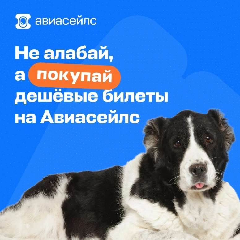 Нужно ли адаптироваться к изменениям рынка? 👇🏻🔥 | Сетка — социальная сеть от hh.ru