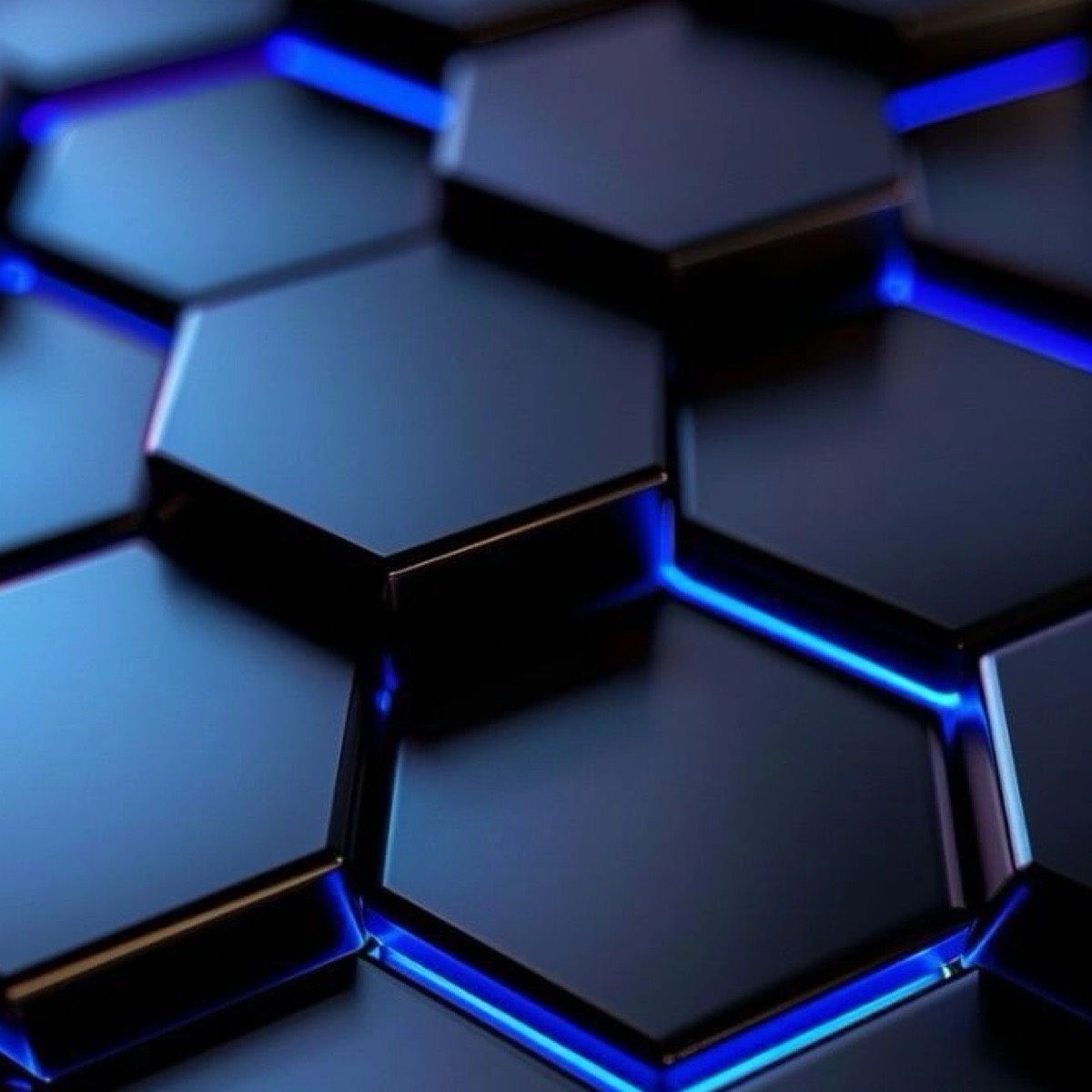 Михаил Малахов | Сетка — социальная сеть от hh.ru