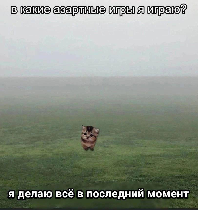 Тайм менеджмент⚡️ | Сетка — социальная сеть от hh.ru