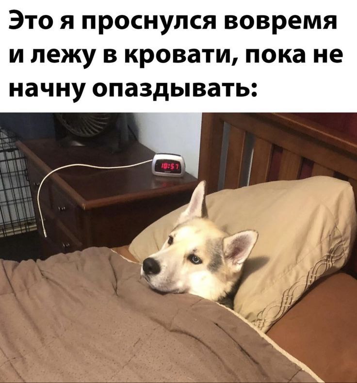 Труженики! 🐝
Вы уже проснулись по своим будильникам?
Пора начинать новую рабочую неделю | Сетка — социальная сеть от hh.ru