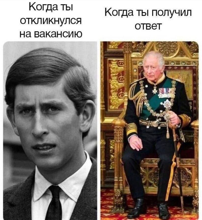Всем привет!
Вижу сообщения «Удалось ли найти работу через Сетку?» Захожу в профиль — а там 1 подписчик | Сетка — социальная сеть от hh.ru