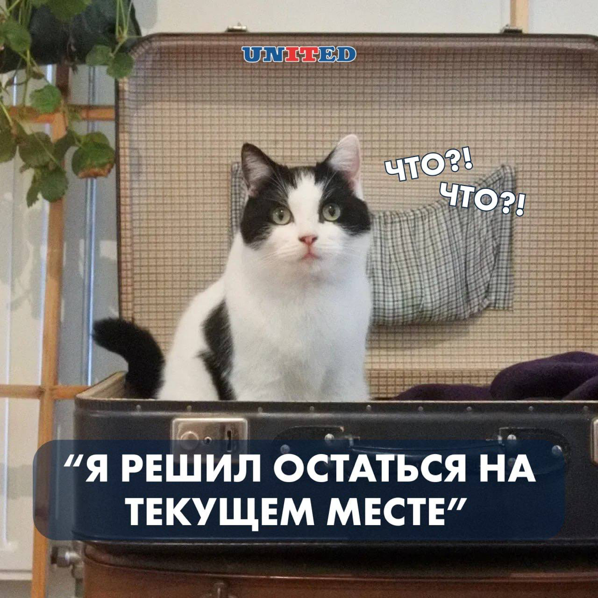 Как грамотно отработать контроффер? | Сетка — социальная сеть от hh.ru
