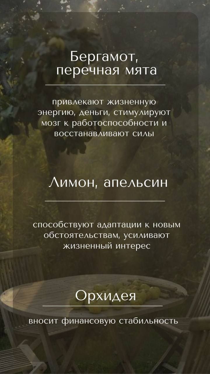 Полезняшки для вас | Сетка — социальная сеть от hh.ru
