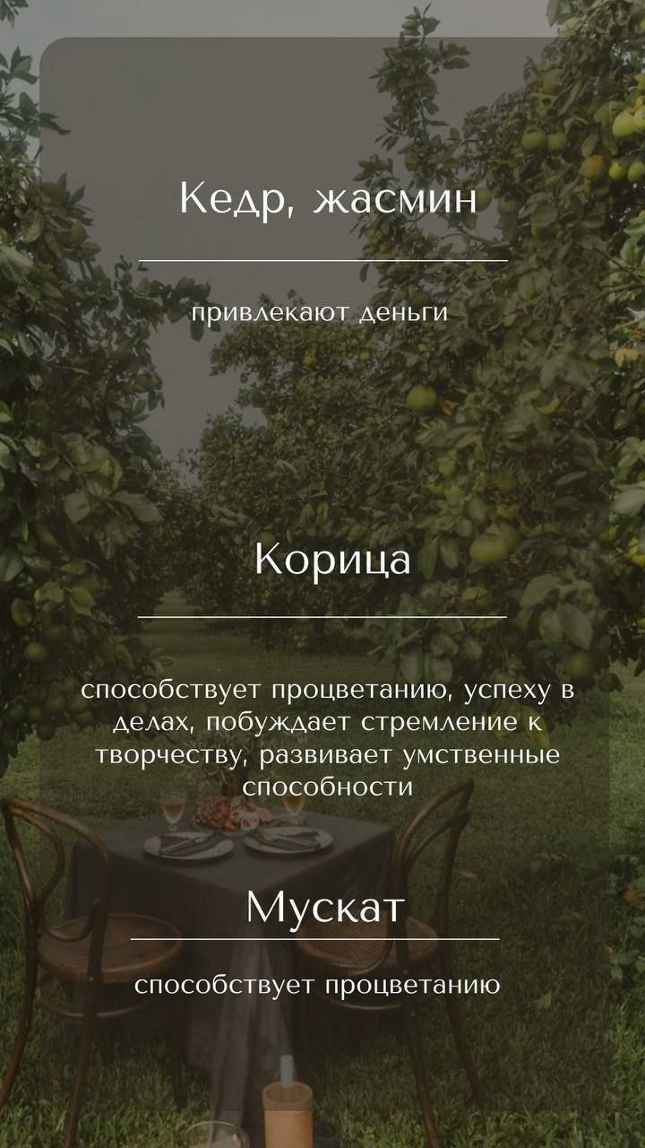 Полезняшки для вас | Сетка — социальная сеть от hh.ru