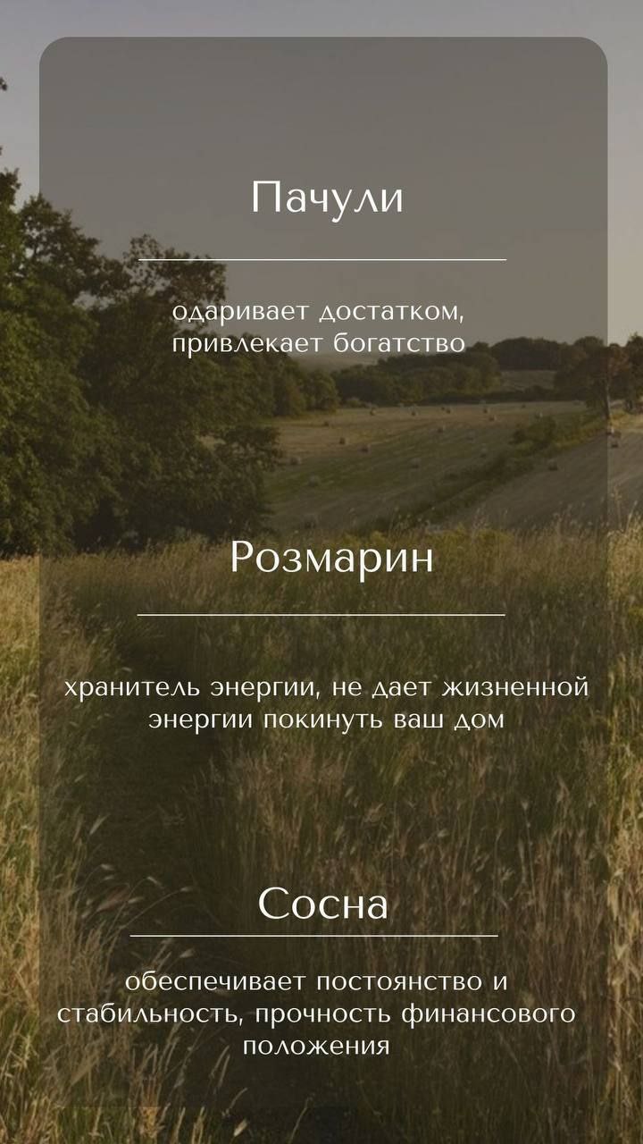 Полезняшки для вас | Сетка — социальная сеть от hh.ru